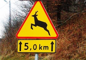 Znak ostrzegawczy &quot;Dzikie zwierzęta na drodze&quot;