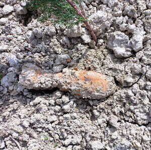 Skorodowany granat moździeżowy odnaleziony w ogrodzie mieszkańca Strzyżowa.