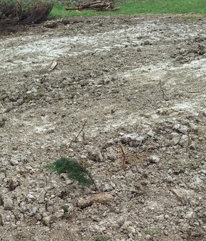 Miejsce odnalezienia granata moździeżowego w Strzyżowie.